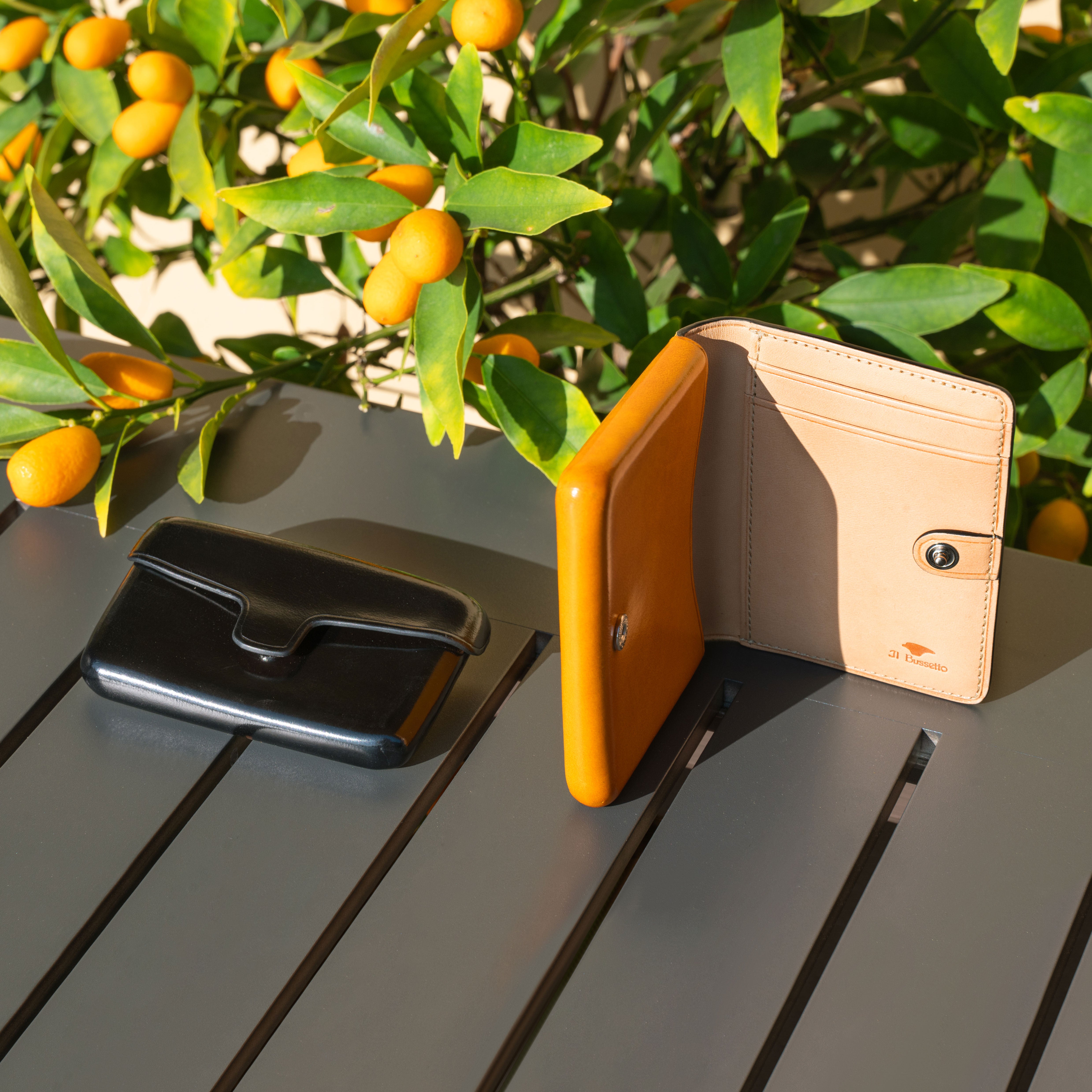 Wallet & Card Holder Combo