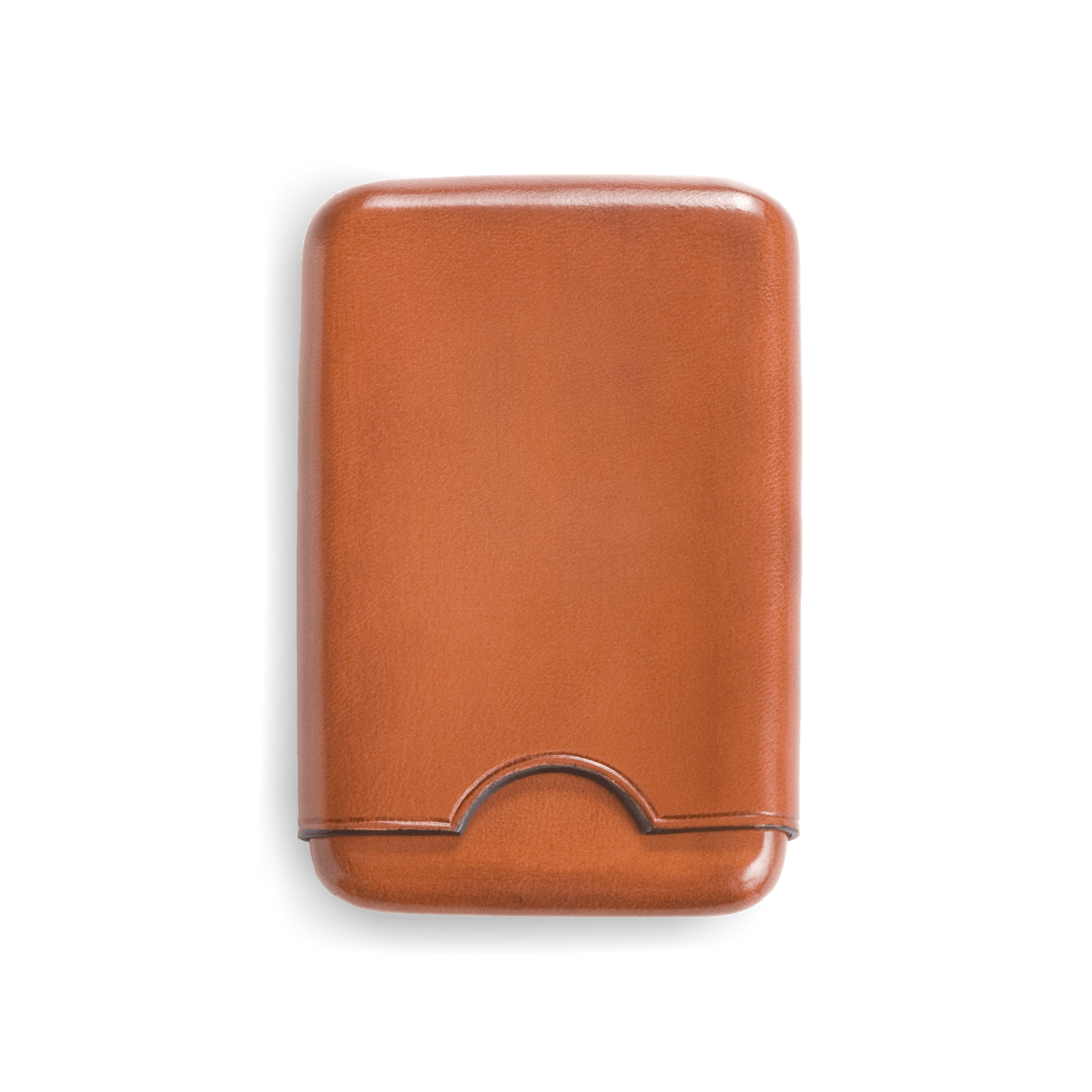 lightbrown